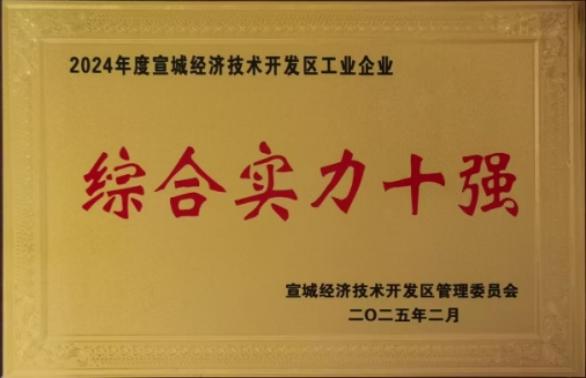 宣城經(jīng)開(kāi)區(qū)2025年高質(zhì)量發(fā)展大會(huì)召開(kāi)